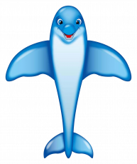 Dolphin Kite 200cm