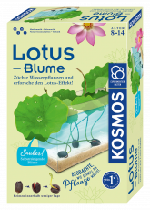 Lotus-Blume