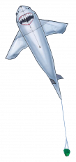 Great White Shark 7