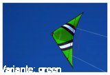 Cross Kites Speedwing X1