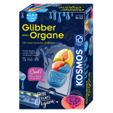 Fun Science - Glibber Organe