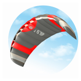 Symphony Sport Fireline 2.2 RTF